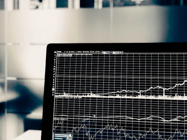 Financial agility